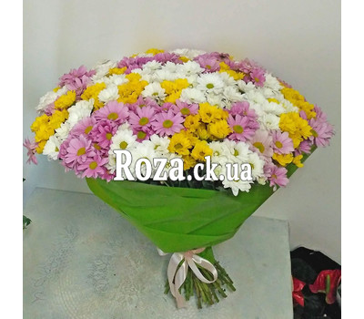 51 multi-colored chrysanthemum 1