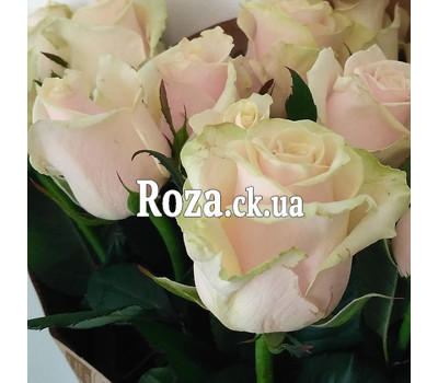 Bouquet of peach roses 2