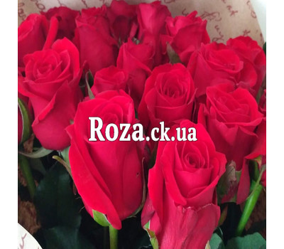 Red Roses in Kraft 6