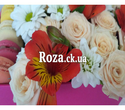 Delicate Flowers and Macarons 4