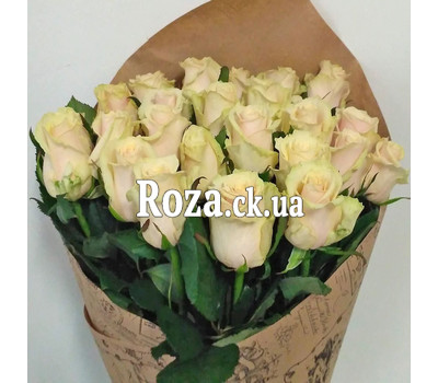 Delicate bouquet of 25 cream-colored roses 2