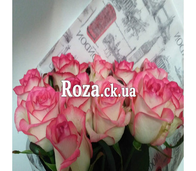 11 roses Jumilia 2