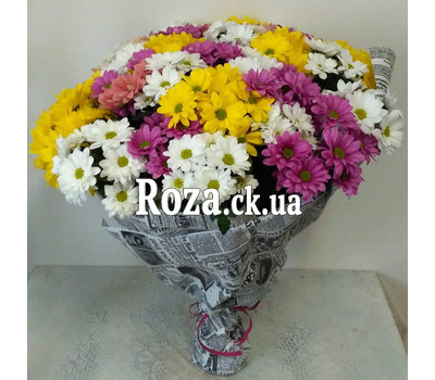 21 multi-colored chrysanthemum 1