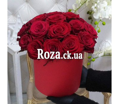 25 red roses in a box 1