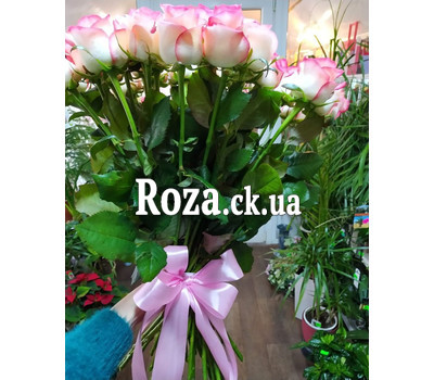 35 roses Jumilia 2