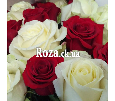 Bouquet of scarlet and white roses 6
