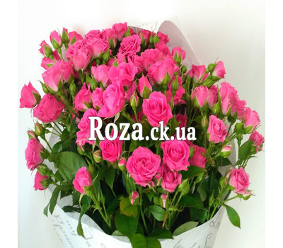 Bouquet of pink rose bush 3