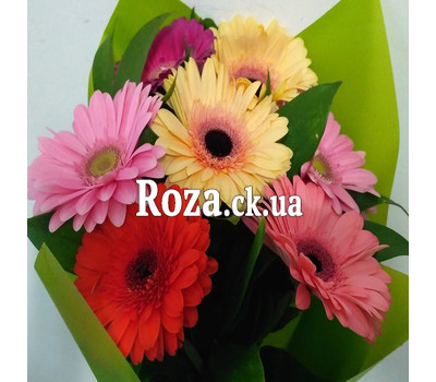 A small bouquet of gerberas 2
