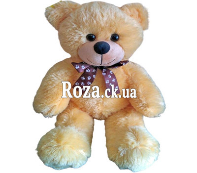 Peach teddy bear