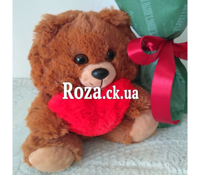 15 roses and teddy bear 2