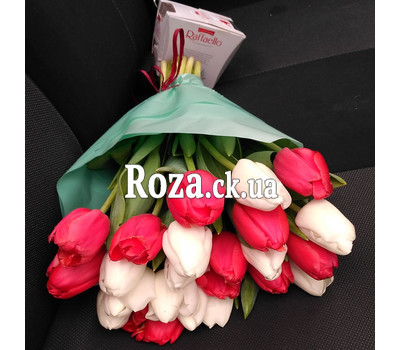 25 white and red tulips 1