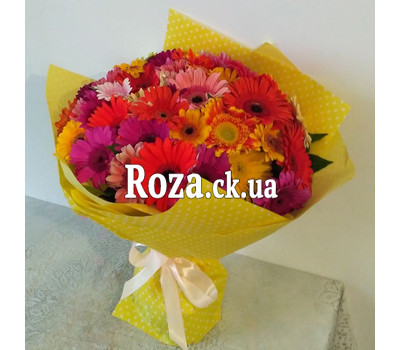Large bouquet of 51 gerberas 1