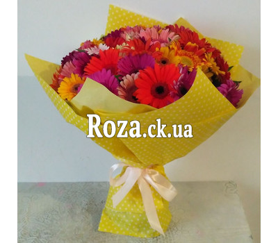 Large bouquet of 51 gerberas 2