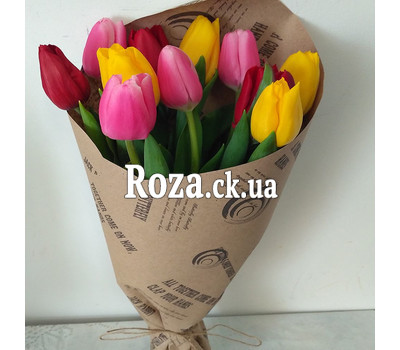 Bouquet of 11 Tulips 1