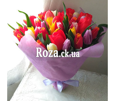 Bouquet from 35 multi-colored tulips 1