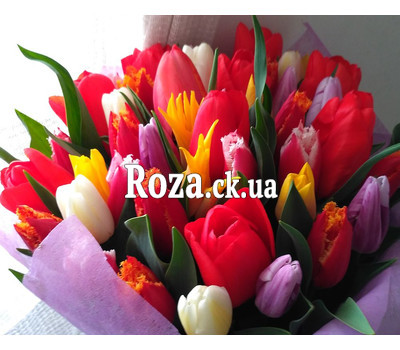 Bouquet from 35 multi-colored tulips 2