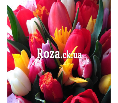 Bouquet from 35 multi-colored tulips 3