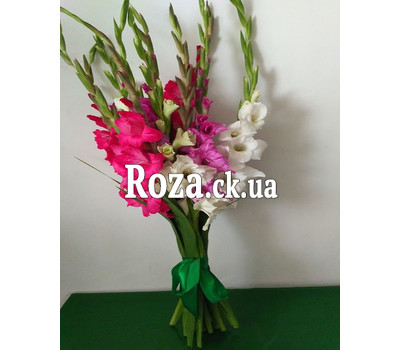 Bouquet from gladiolus 1