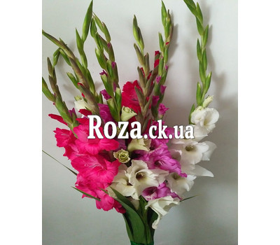 Bouquet from gladiolus 3