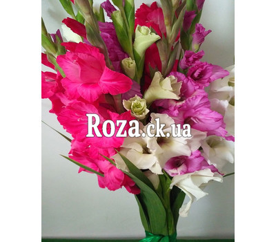 Bouquet from gladiolus 4