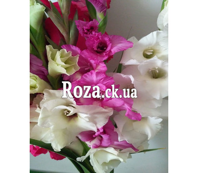 Bouquet from gladiolus 5