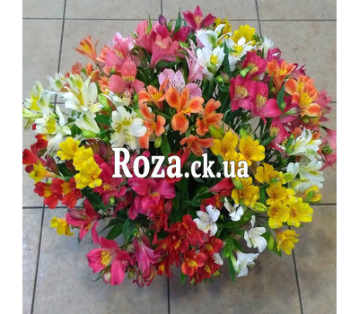 Basket with alstromeries 1