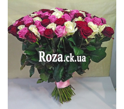 101 red, white and pink rose 1