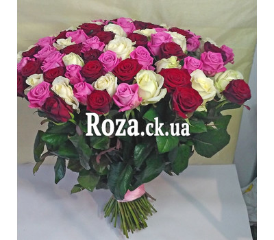 101 red, white and pink rose 2