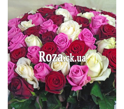 101 red, white and pink rose 3