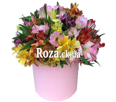 15 alstroemerias in a box