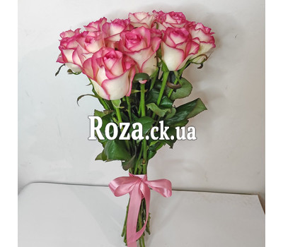 15 original roses 12