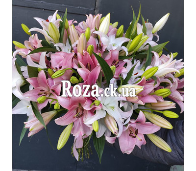 25 white lilies 5