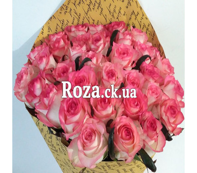 35 roses Jumilia 4