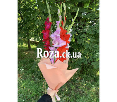 5 gladioluses in a bouquet 3