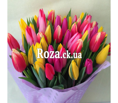 51 tulips and candies 2
