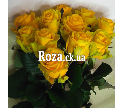 Bouquet of 11 yellow roses 2