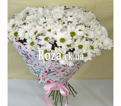 Bouquet of 15 daisy chrysanthemums 1
