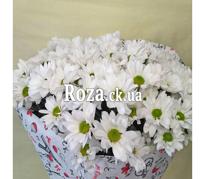 Bouquet of 15 daisy chrysanthemums 2