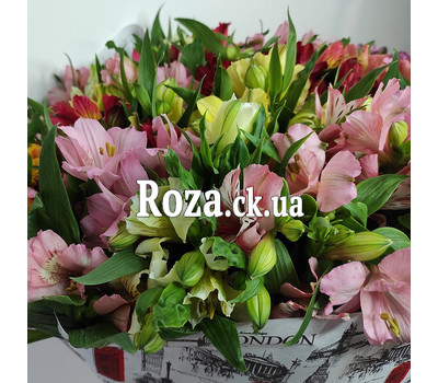 Bouquet of alstromeries 4