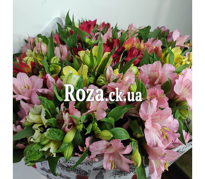 Bouquet of alstromeries 5