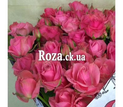 Bouquet of cream spray roses 3