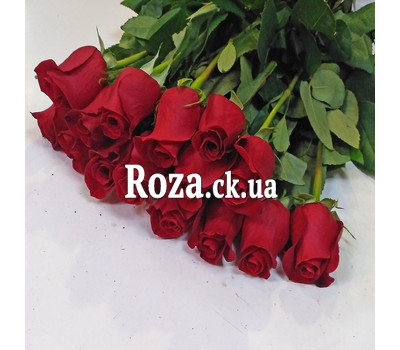 Bouquet of roses Freedom 1
