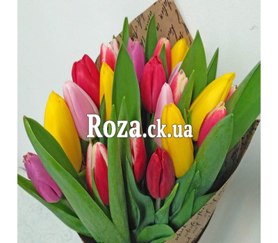 Bouquet of spring tulips 2