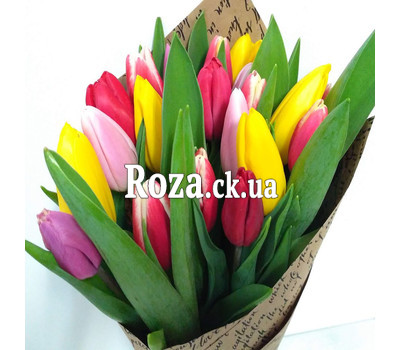 Bouquet of spring tulips 3