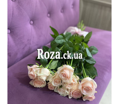 Cascade bouquet of 11 cream roses 6