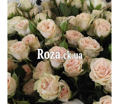 Beautiful bouquet of spray roses 3