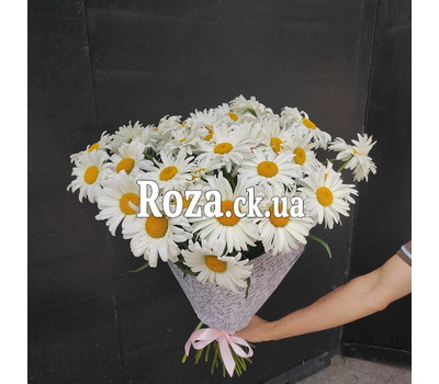 Summer bouquet of chamomiles 1