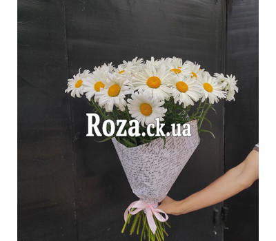 Summer bouquet of chamomiles 2