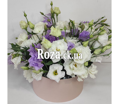 Mixed bouquet of eustomas in a box 1
