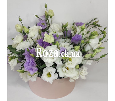 Mixed bouquet of eustomas in a box 2